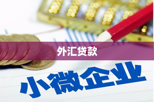 鄂托克旗外汇贷款