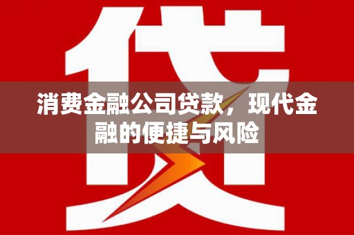 鄂托克旗消费金融公司贷款，现代金融的便捷与风险