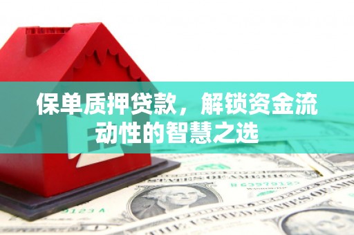 鄂托克旗保单质押贷款，解锁资金流动性的智慧之选