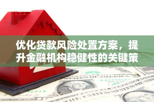 鄂托克旗优化贷款风险处置方案，提升金融机构稳健性的关键策略