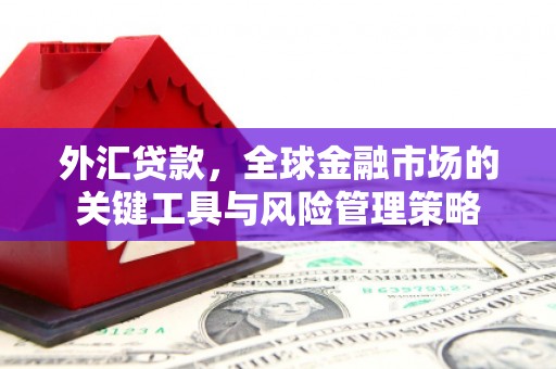 鄂托克旗外汇贷款，全球金融市场的关键工具与风险管理策略