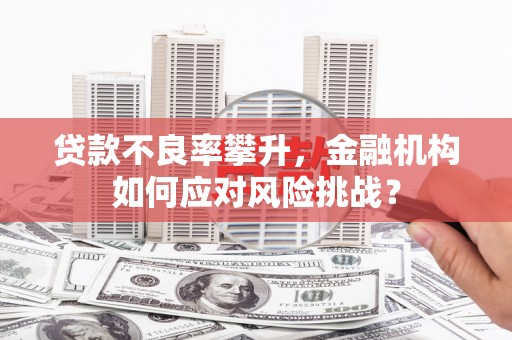 鄂托克旗贷款不良率攀升，金融机构如何应对风险挑战？