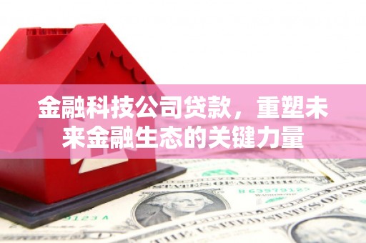 鄂托克旗金融科技公司贷款，重塑未来金融生态的关键力量