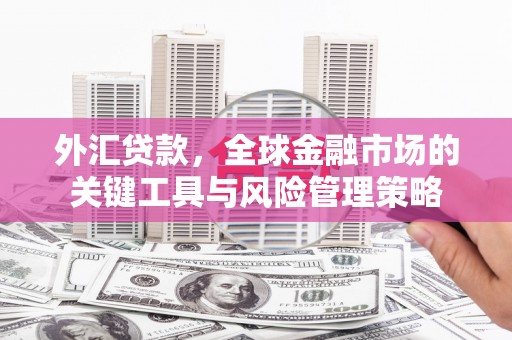 鄂托克旗外汇贷款，全球金融市场的关键工具与风险管理策略