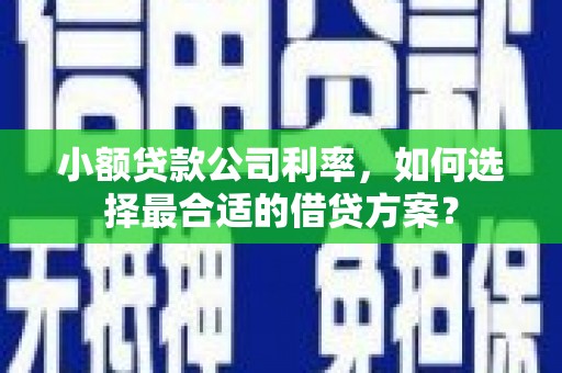 鄂托克旗小额贷款公司利率，如何选择最合适的借贷方案？
