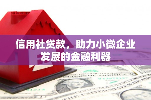 鄂托克旗信用社贷款，助力小微企业发展的金融利器