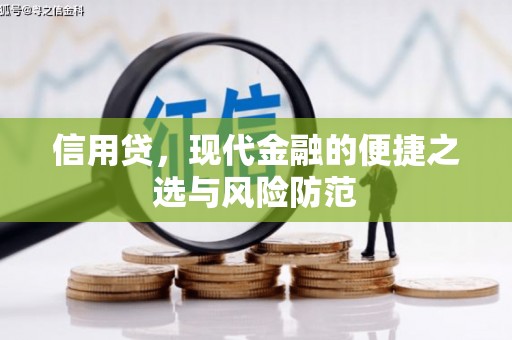 鄂托克旗信用贷，现代金融的便捷之选与风险防范