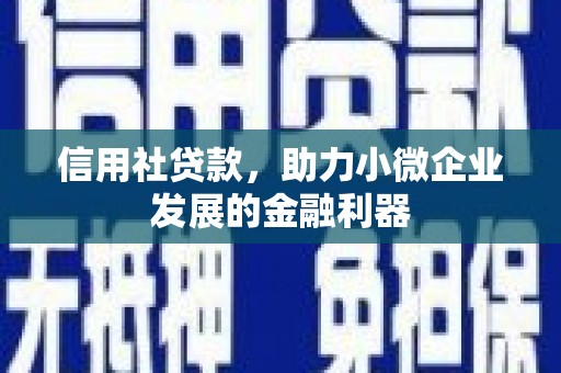 鄂托克旗信用社贷款，助力小微企业发展的金融利器