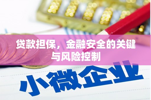 鄂托克旗贷款担保，金融安全的关键与风险控制