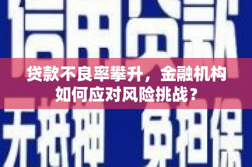 鄂托克旗贷款不良率攀升，金融机构如何应对风险挑战？