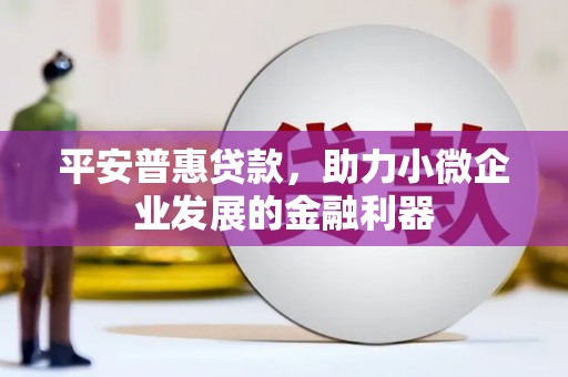 鄂托克旗平安普惠贷款，助力小微企业发展的金融利器