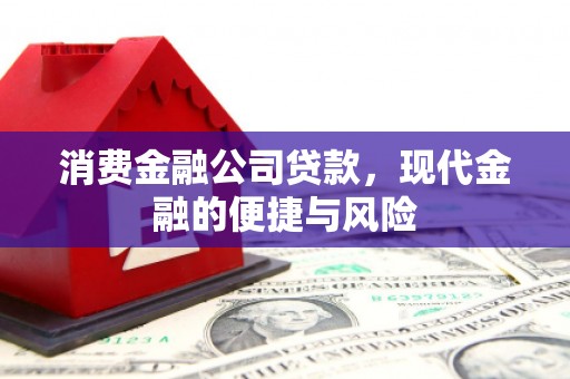 鄂托克旗消费金融公司贷款，现代金融的便捷与风险